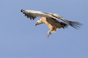 Landeanflug
