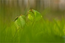 Frühling mit Macht!