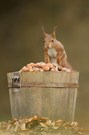 I'm going nuts!!!