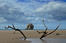 Playa Naranjo