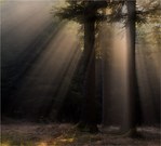 Weiches Morgenlicht
