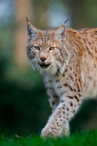 Nähe