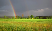 Ein Regenbogen