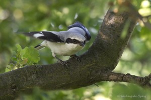 Der Blick zum Nest