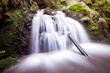 Lotenbachklamm in der Wutachschlucht