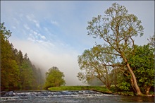 Morgenstimmung an der Eder