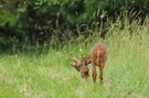 "Mama, ich hab dich sooo lieb!"