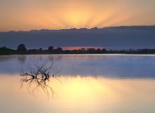 Sonnenaufgang Elbaltwasser