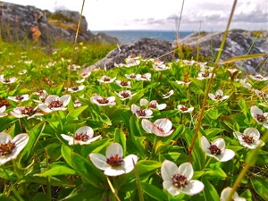 Gruss aus Norwegen