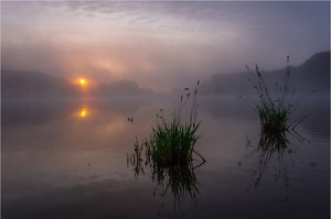 Morning fog