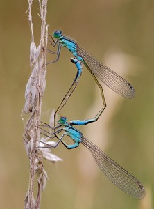 Gruß nach Spanien...