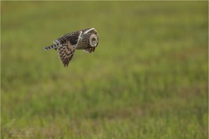 Im Vorbeiflug...