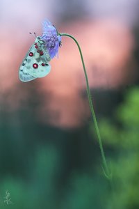 ~Schlafenszeit~