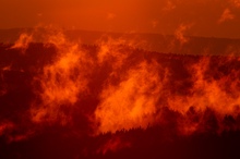 Nebel im Sonnenuntergang