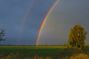 Wird er zum Wahrzeichen des Sommers ?