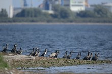 Seeseitiger Blick aufs Weltkulturerbe Hansestadt Wismar...