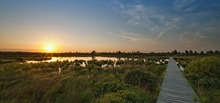 Sonnenuntergang im Hochmoor