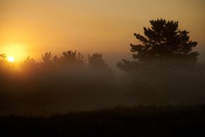 Sonnenaufgang auf der Heide