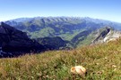 Schweizer Alpen mit Blick vom Alpstein