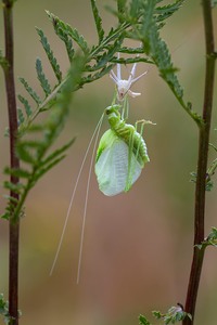 Tor zum Neuen Leben