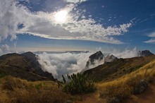 Madeira Oberschicht