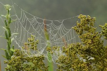 Herbstzauber