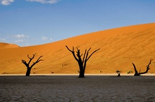 Deadvlei Sonnenaufgang ND