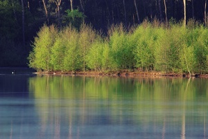 Haubachsee im Frühling