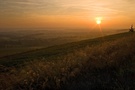 goldener Morgen