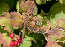 Unwiderruflich: Der Herbst beginnt...