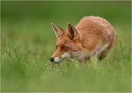 H O C H S P A N N U N G !