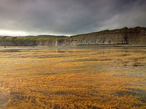 Kimmeridge Bay