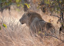 Namibia 2012