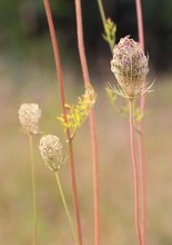 Sommerliche Herbstfarben