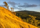 Herbstwind