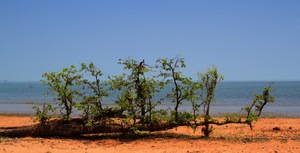 Urkraft der Natur - Lake Kariba