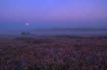 Sonne, Mond und keine Sterne