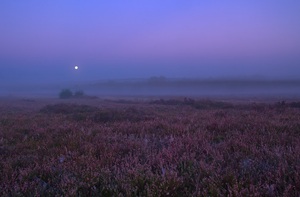 Sonne, Mond und keine Sterne