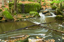 Im Höllbachtal