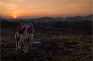 Zum Sonnenaufgang an der A4