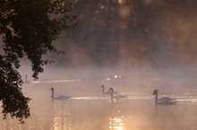 Ruhrmorgen