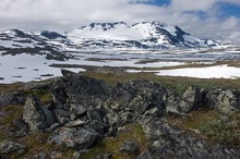 Jotunheimen