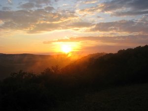 Sonnenuntergang Rheinhang