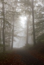 Die Sonne kämpft sich durch den Hochnebel