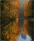 Herbst in Rathen