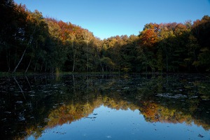 Herbstabend am Birkenteich