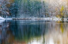 Herbst am Waldteich