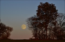 Der Mond ist aufgegangen