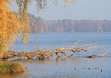 Außerhalb des Speckgürtels