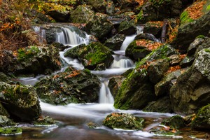 Ternellbach im Hohen Venn